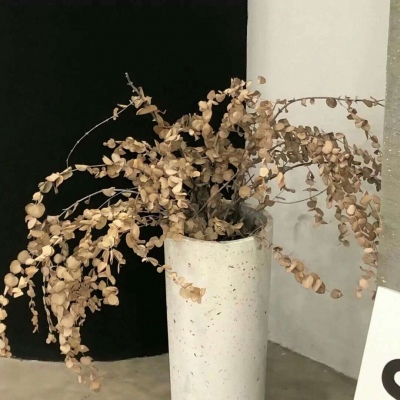 霍尔果斯福瑞交流群